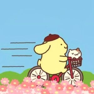 Meet your Posher, Ariel